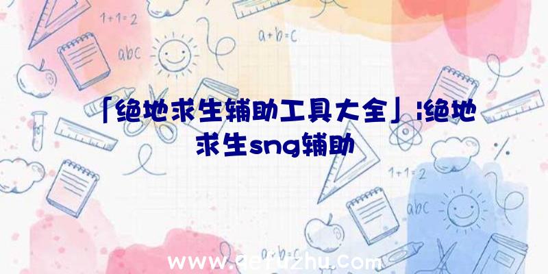 「绝地求生辅助工具大全」|绝地求生sng辅助